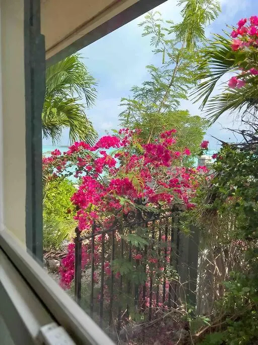 Turquoise Haven Villa Providenciales 0*,